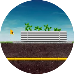 Landscaping Minor
