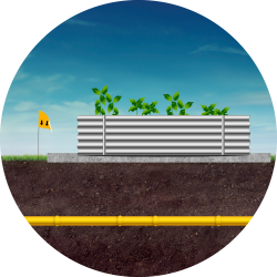 Landscaping Minor