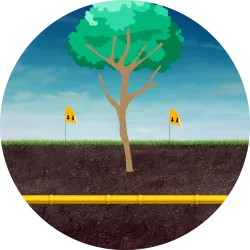 Tree Work