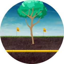 Tree Work